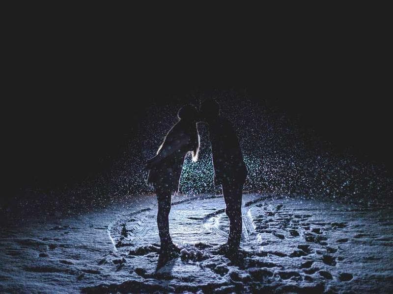 Pet Hair Removal - After